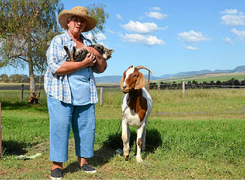 ANIMAL RESCUE: Barbara Schmoelzer provides a home for rescue animals like Kimi the cat and Milo the goat.